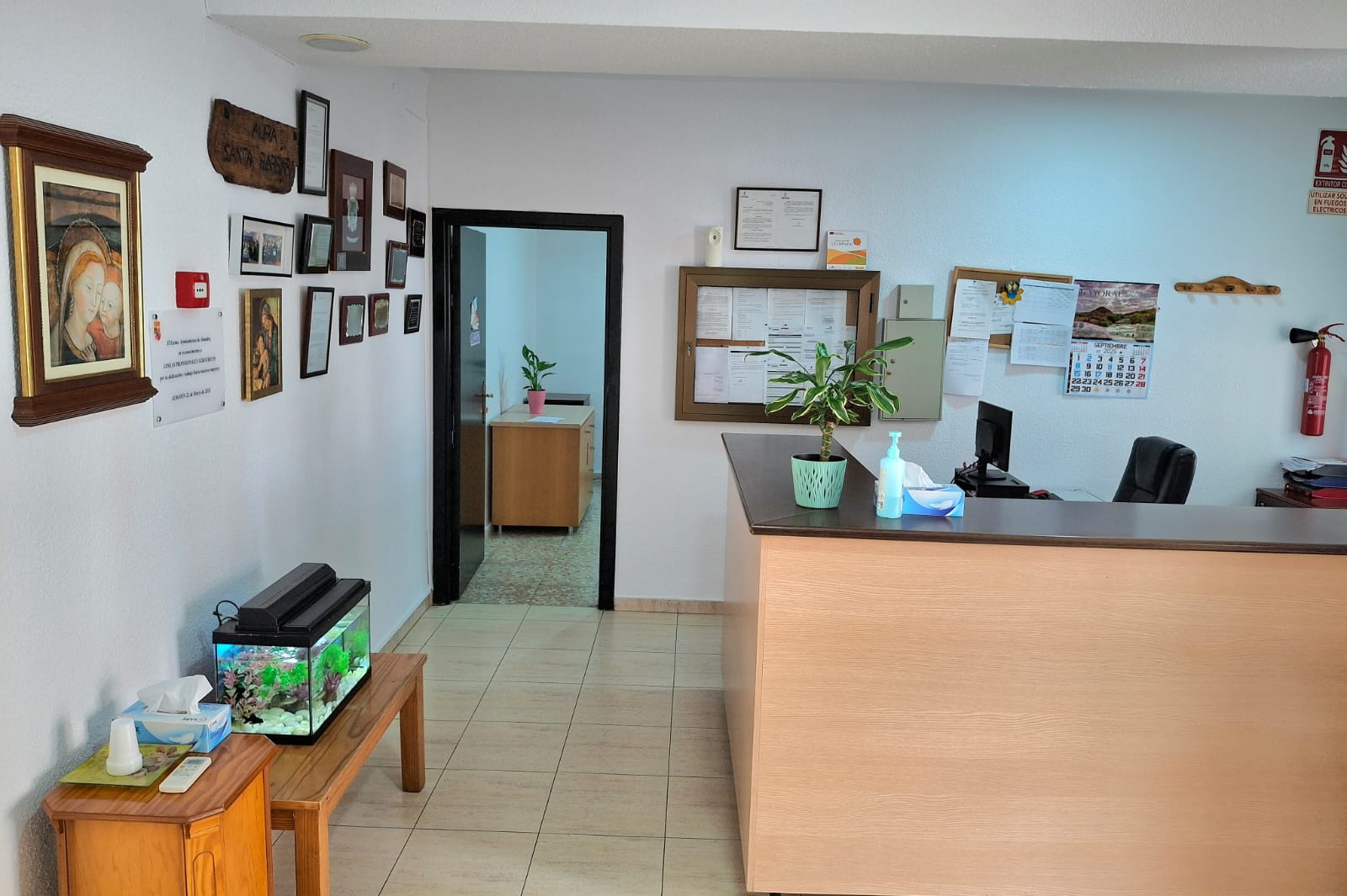 WhatsApp Image 2025-09-19 at 15.13.25 (9)