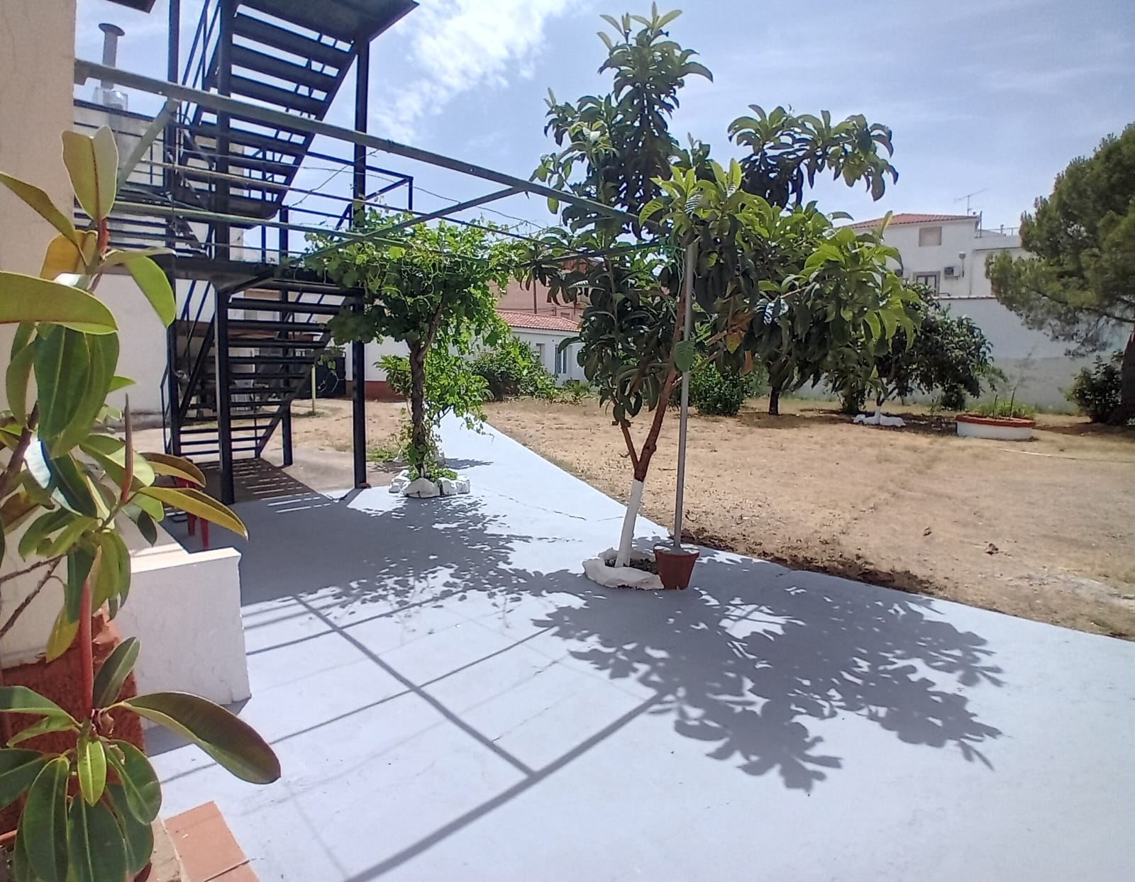 WhatsApp Image 2025-09-19 at 15.13.25